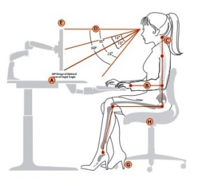 Ideal Seated Position