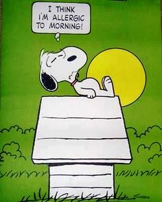 snoopy